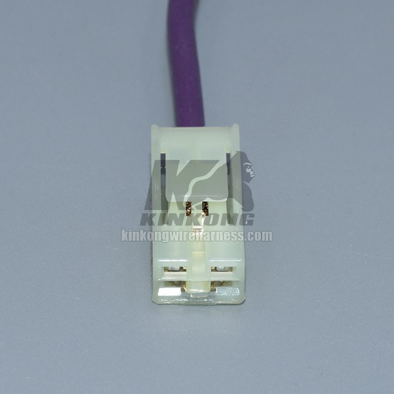 Kinkong custom Wire Harness for H5PL1F05N 1900-0518 172320-2