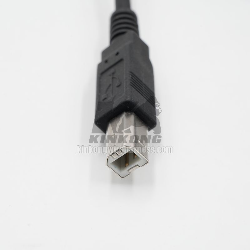 Custom USB-B DB-25 USB Cable Printer cable for Printer